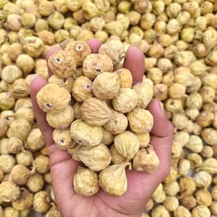 تصویر 2 از خرید انجیر خشک جنگلی + بهترین قیمت